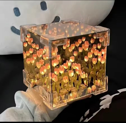 Cubo Infinito